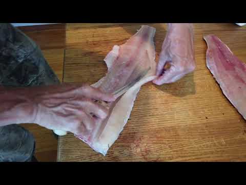 How to fillet a Muskie