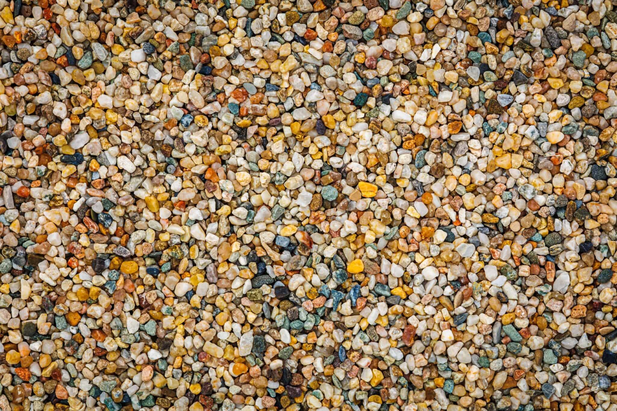 The Complete Axolotl Supplies and Starter Kit Guide