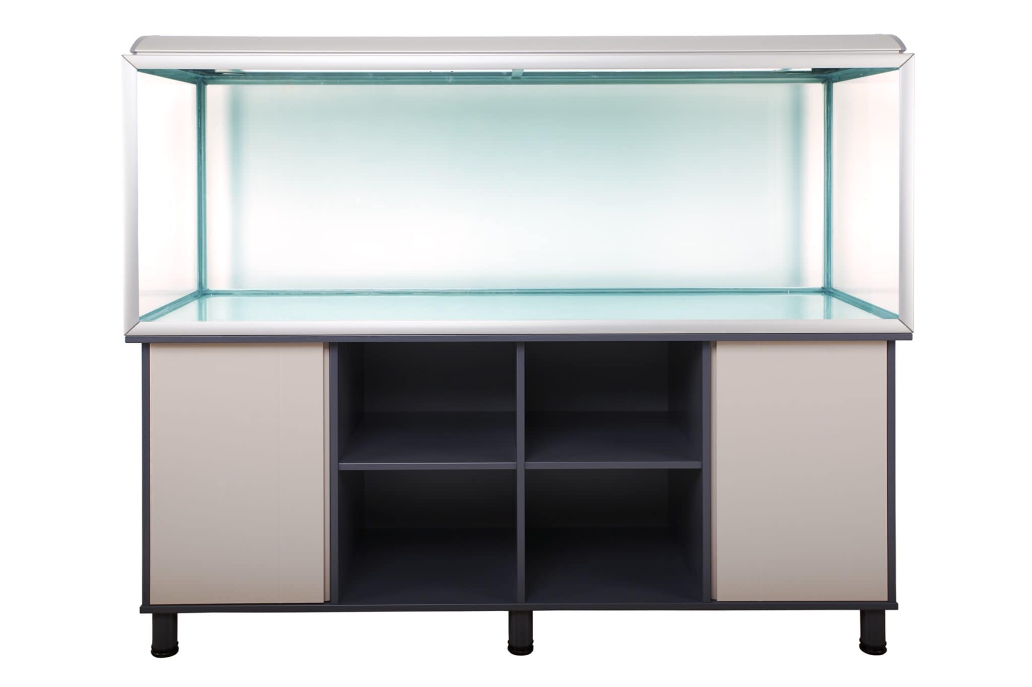 The Complete Axolotl Supplies and Starter Kit Guide