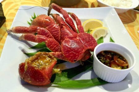 Can You Eat Coconut Crabs? (What Does It Taste Like?)